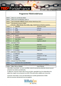 programme public TEDx FDF 2017